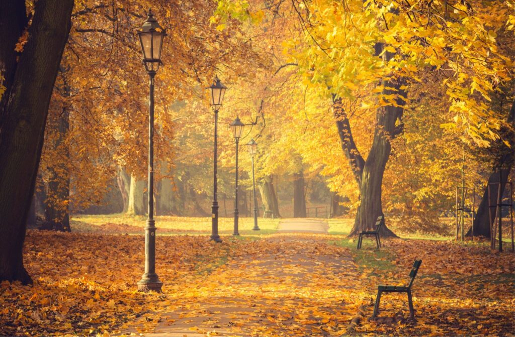 Planty Park in Krakow with tree-lined paths, greenery and a peaceful walkway around the Old Town.
